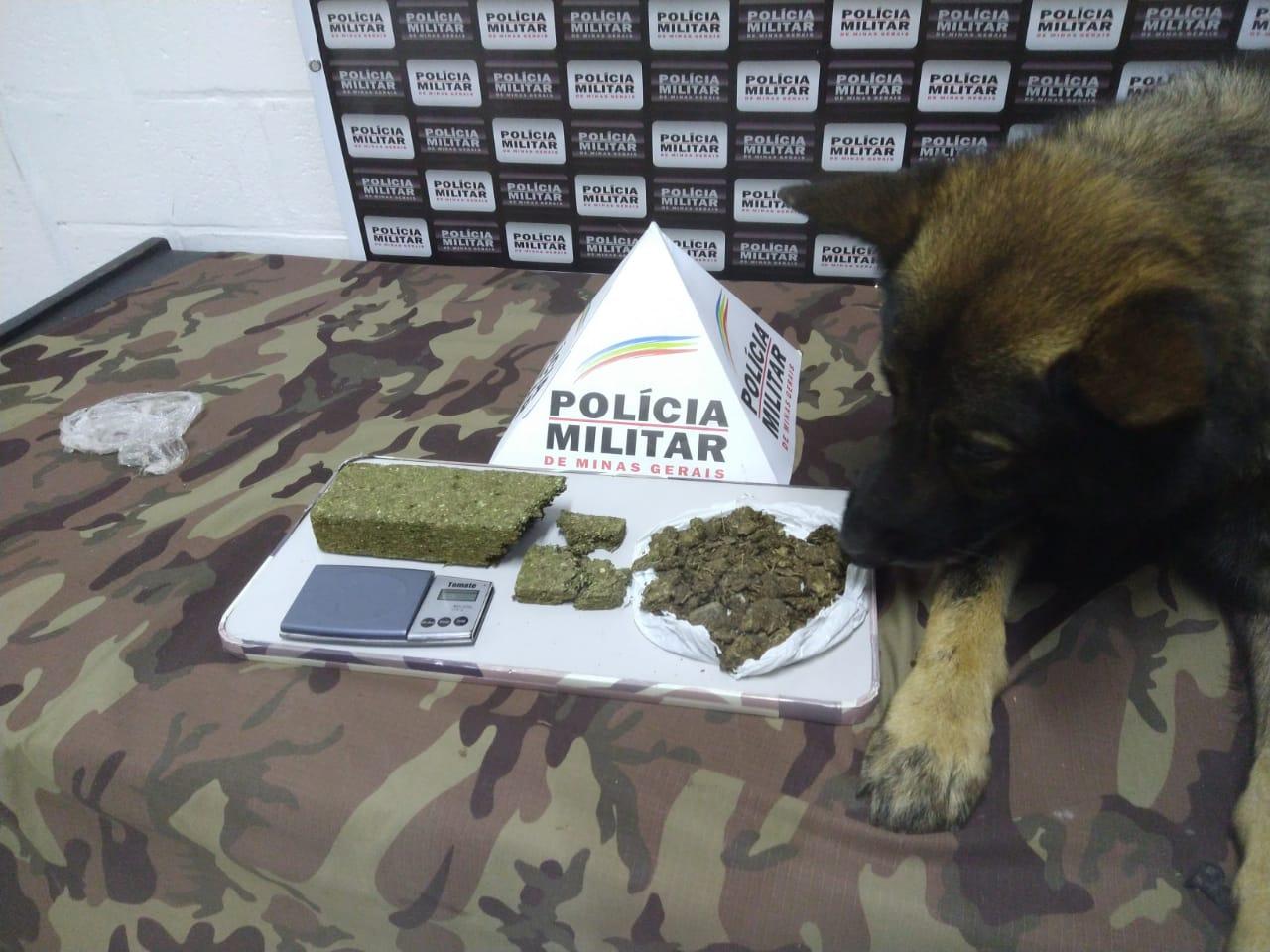 Cão farejador da Polícia Militar localiza drogas no Bairro Grajaú