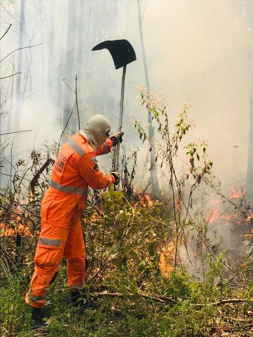 Bombeiros registram mais de 12 mil ocorrências de incêndio em vegetação no ano