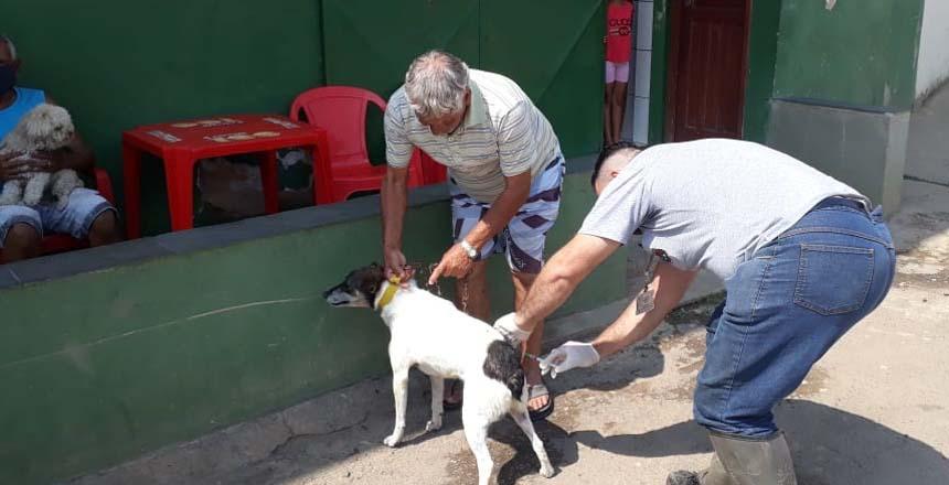 PJF suspende a segunda etapa da vacinação antirrábica por causa da Covid-19
