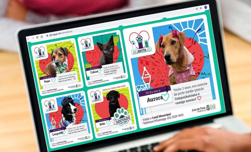 PJF lança site para divulgar animais que estão para adoção no Canil Municipal