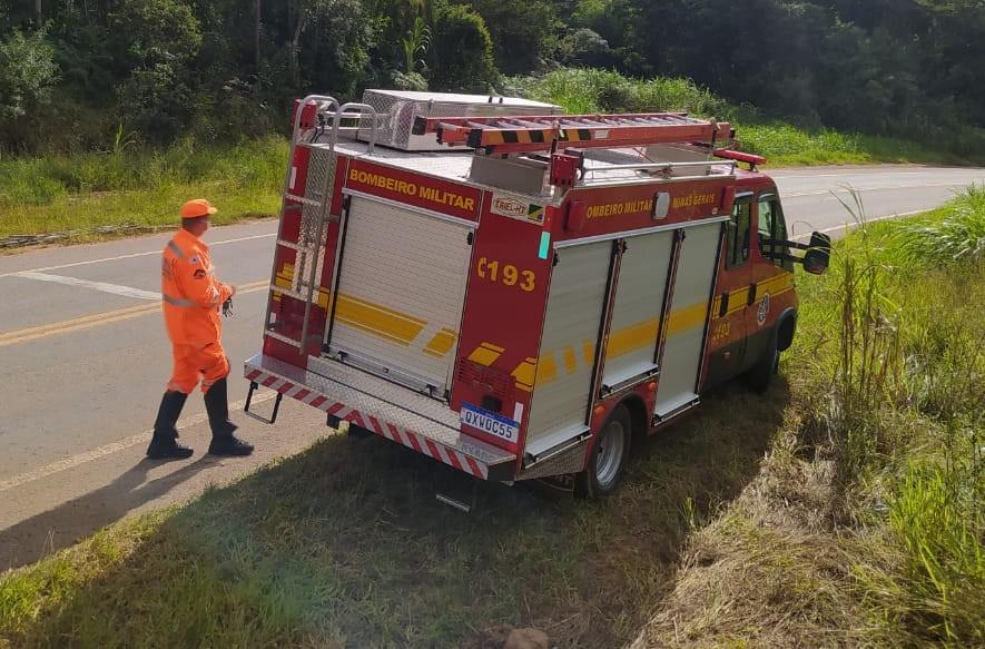 Bombeiros procuram cães abandonados em rodovia MG 135