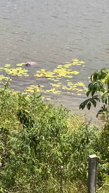 Bombeiros são acionados para atender uma ocorrência de afogamento na represa do São Pedro