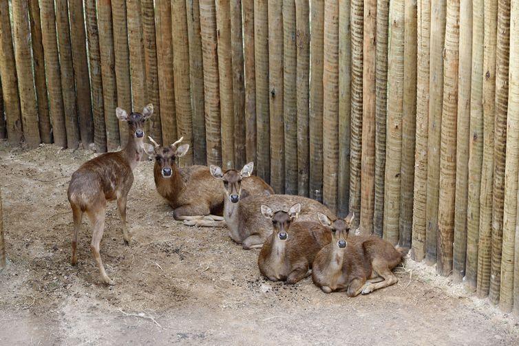 BioParque - Beth Santos/Prefeitura do Rio de Janeiro