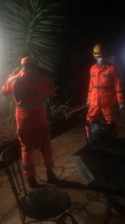 Bombeiros capturam cobra em muro de residência