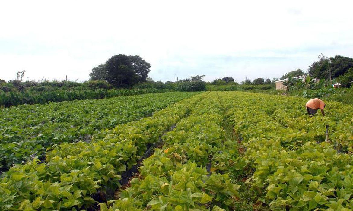 Governo altera definição de agricultor familiar