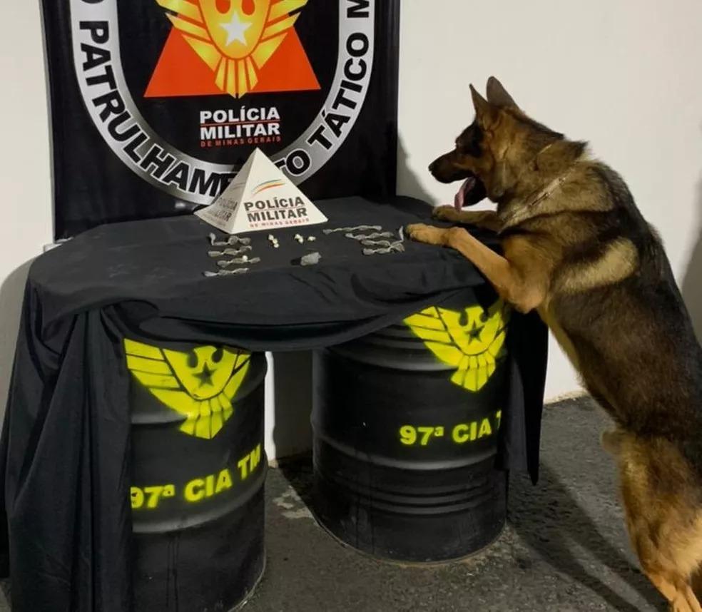 PM encontra 23 buchas de maconha em casa abandonada em Muriaé