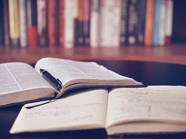 Punição de servidor público: é obrigatória a presença de Advogado?