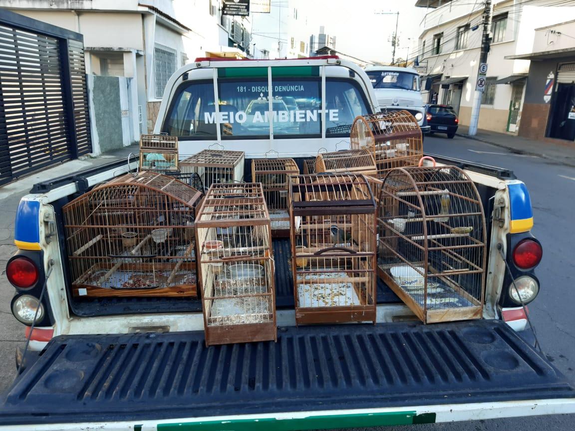 Polícia Militar Ambiental prende suspeitos por posse de arma e de pássaros em Simão Pereira