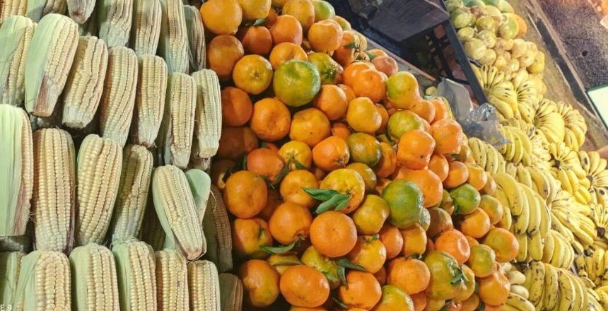 Seapa realiza reuniões técnicas com cooperativas e agricultores familiares