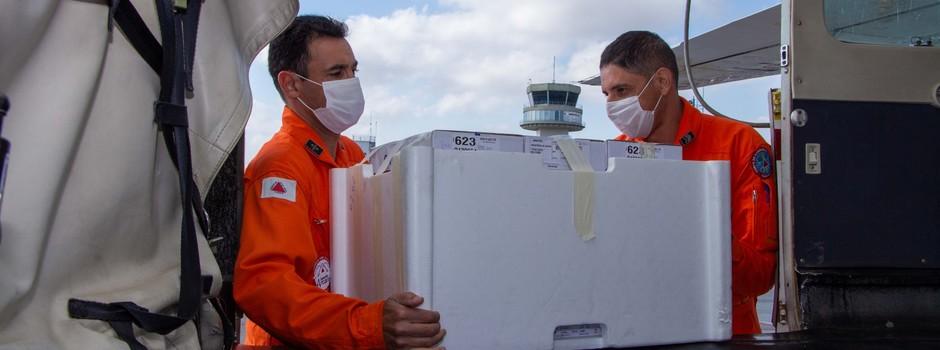 Minas Gerais vai receber mais de 351.000 doses de vacinas contra a Covid-19 nesta sexta-feira