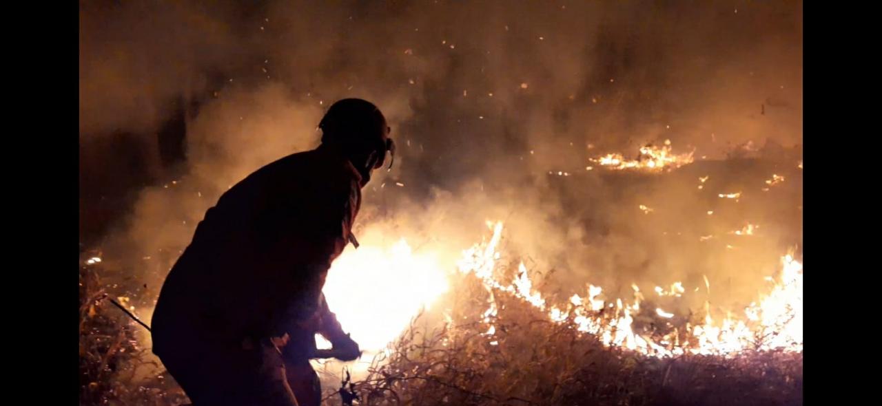 Lote vago pega fogo em Conselheiro Lafaiete