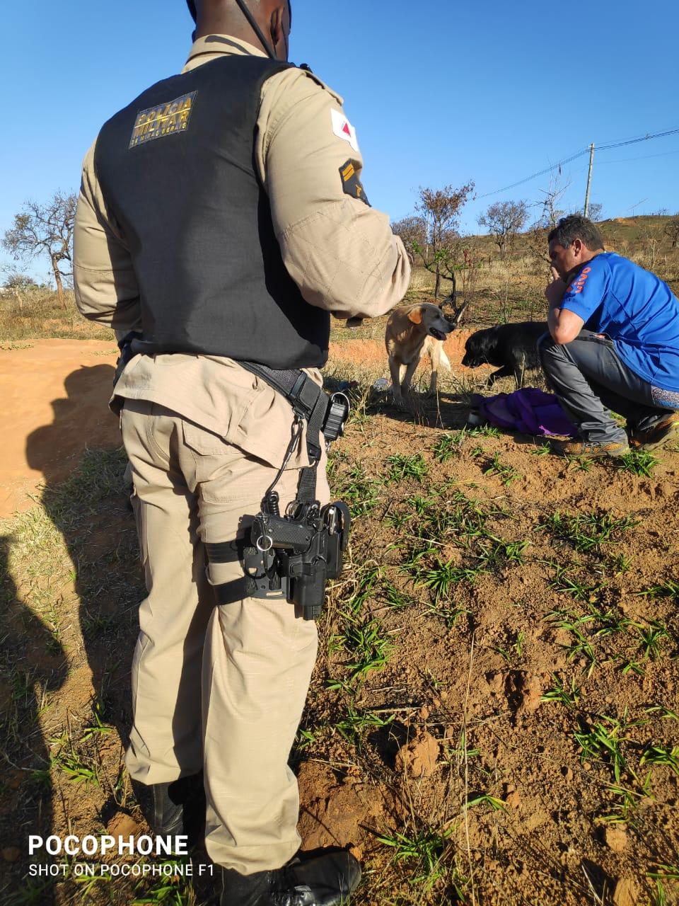 Suspeito por atear fogo em vegetação é preso