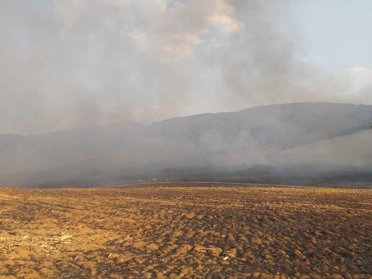 Bombeiros e brigadistas combatem incêndio de grandes proporções próximo à Serra do São José