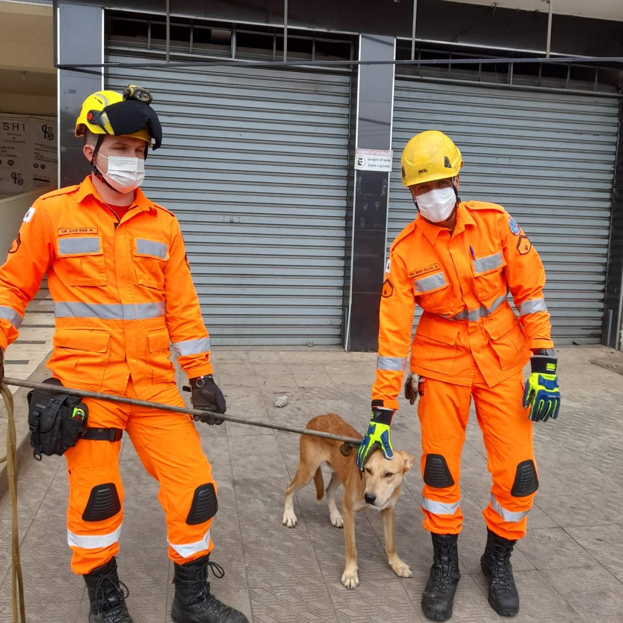 Bombeiros resgatam cão de rua em Conselheiro Lafaiete; veja foto