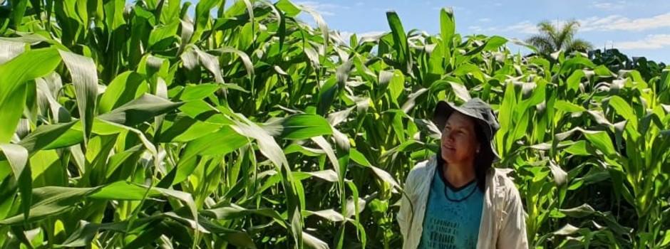 Mais de 920 mil produtores rurais mineiros já podem emitir Nota Fiscal Avulsa off-line