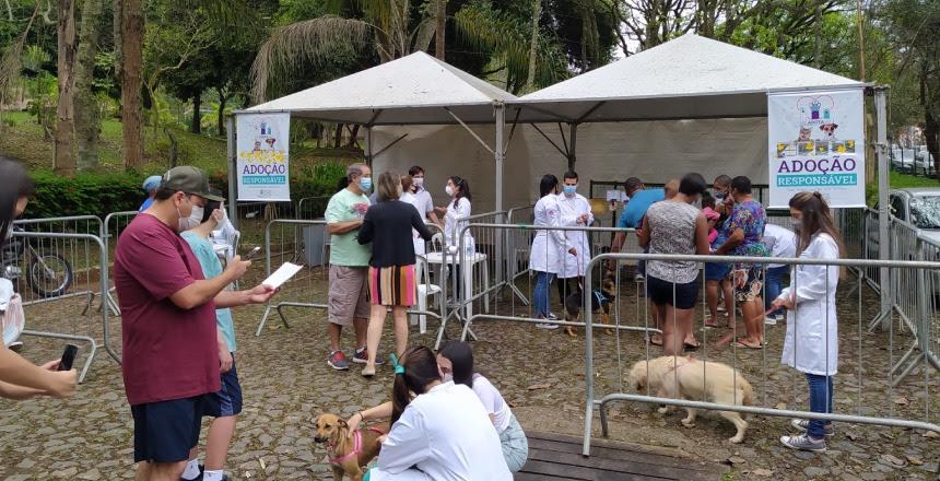 Parque da Lajinha recebe segundo evento de adoção do Canil Municipal