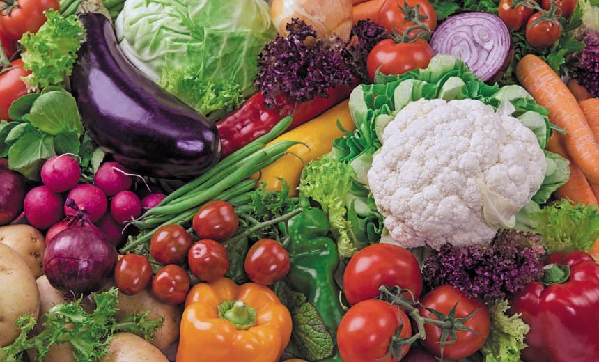 PJF lança edital para composição do Conselho de Segurança Alimentar e Nutricional