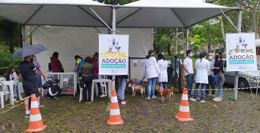 Evento promove adoção de animais do Canil Municipal