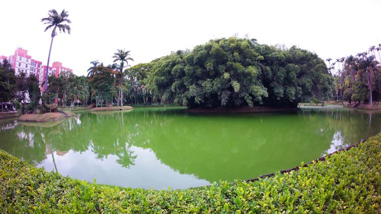 Parque do Museu Mariano Procópio reabre parcialmente no feriado
