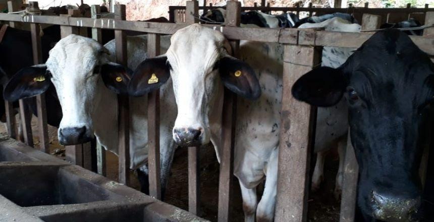PJF disponibiliza 80 vagas para o PróLeite e inscrições seguem abertas