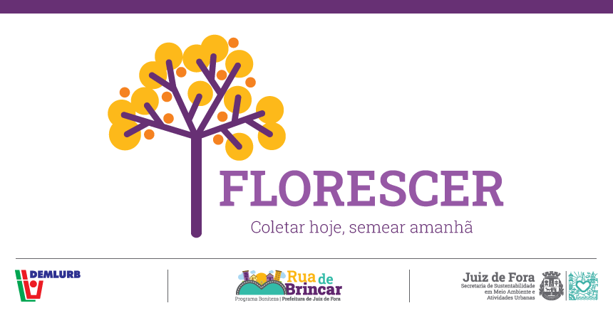 Prefeitura lança campanha de aproveitamento de sementes de árvores