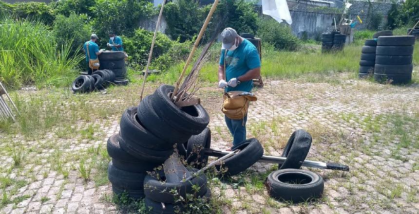 Ações de combate e prevenção à dengue auxiliam no controle da doença