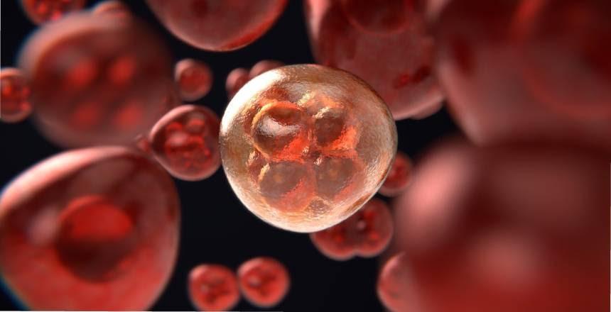 Conscientização e avanço da medicina traz esperança na luta contra o Câncer