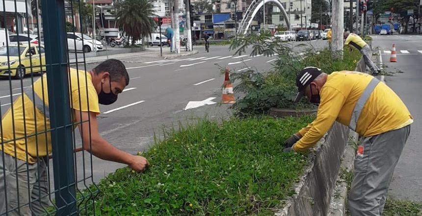 Setor de Parques e Jardins da Empav segue com ações da Operação Boniteza