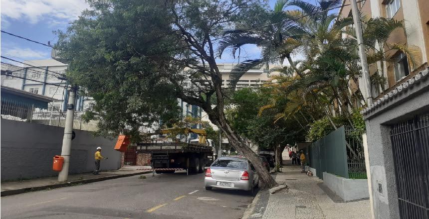 Agora é Lei - Cadastro Municipal de Protetores e Cuidadores de Animais