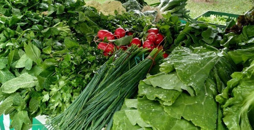 Agricultores e cooperativas entregam amostras de alimentos nesta terça e quarta