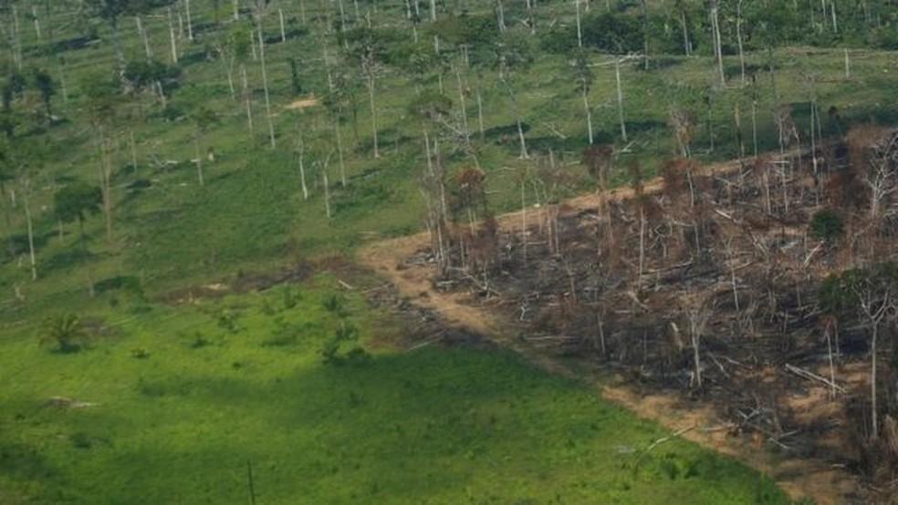 Amazônia registrou 249 km² devastados em novembro