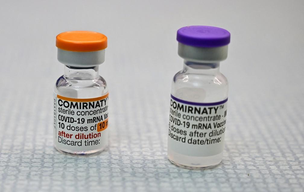 Anvisa aprova vacina da Pfizer contra Covid para crianças de 5 a 11 anos