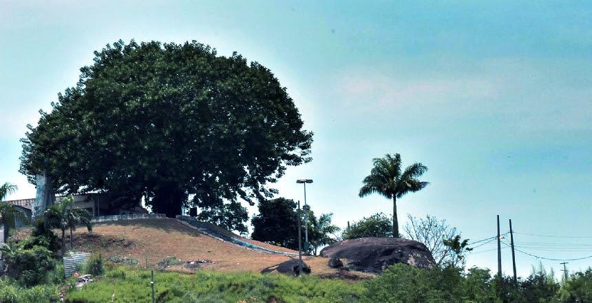 “Árvore da Esperança”, no São Bernardo, recebe decoração de Natal produzida por artesãs acauteladas