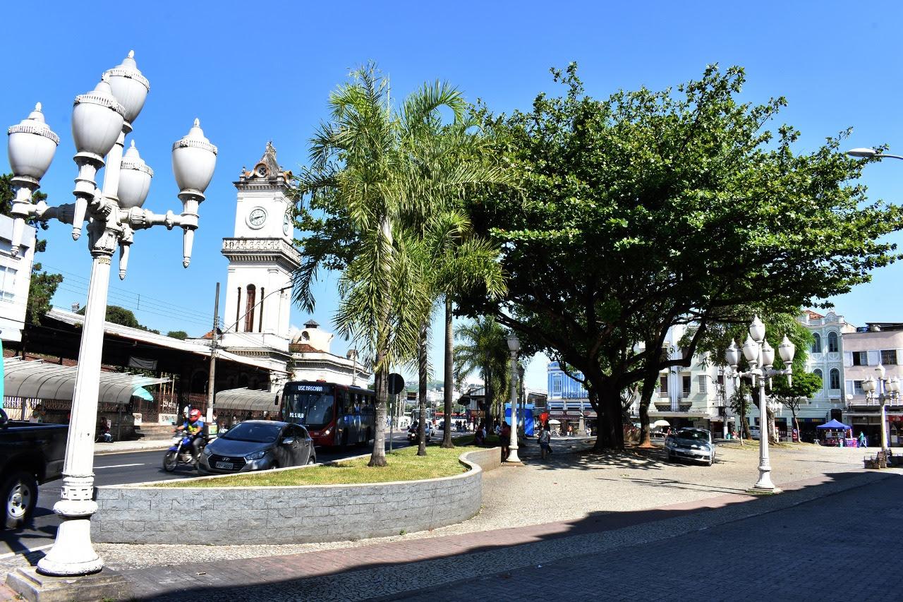 Árvore do Futuro será inaugurada na próxima segunda, dia 20