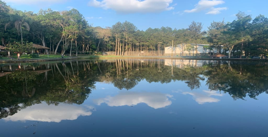 Mais de 10 mil pessoas visitam o Parque Municipal em menos de dois meses de funcionamento