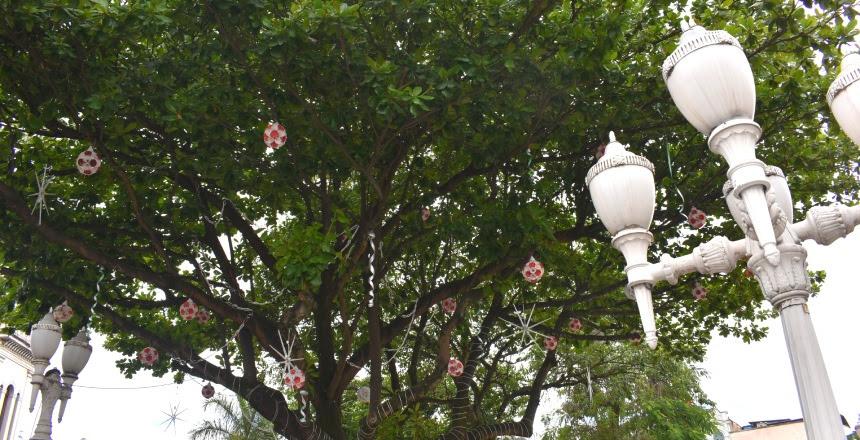 Prefeita anuncia iluminação da Árvore do Futuro e do Morro do Cristo