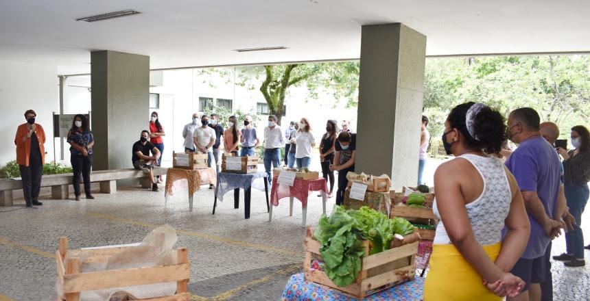 Programas vinculados à PJF receberão mais de 280 toneladas de alimentos da agricultura familiar