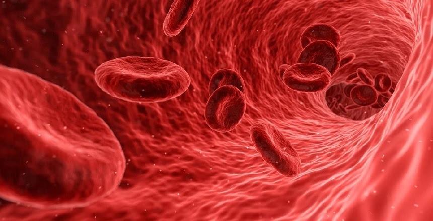 Dia Nacional da Pessoa com Hemofilia é lembrado no dia 4 de janeiro