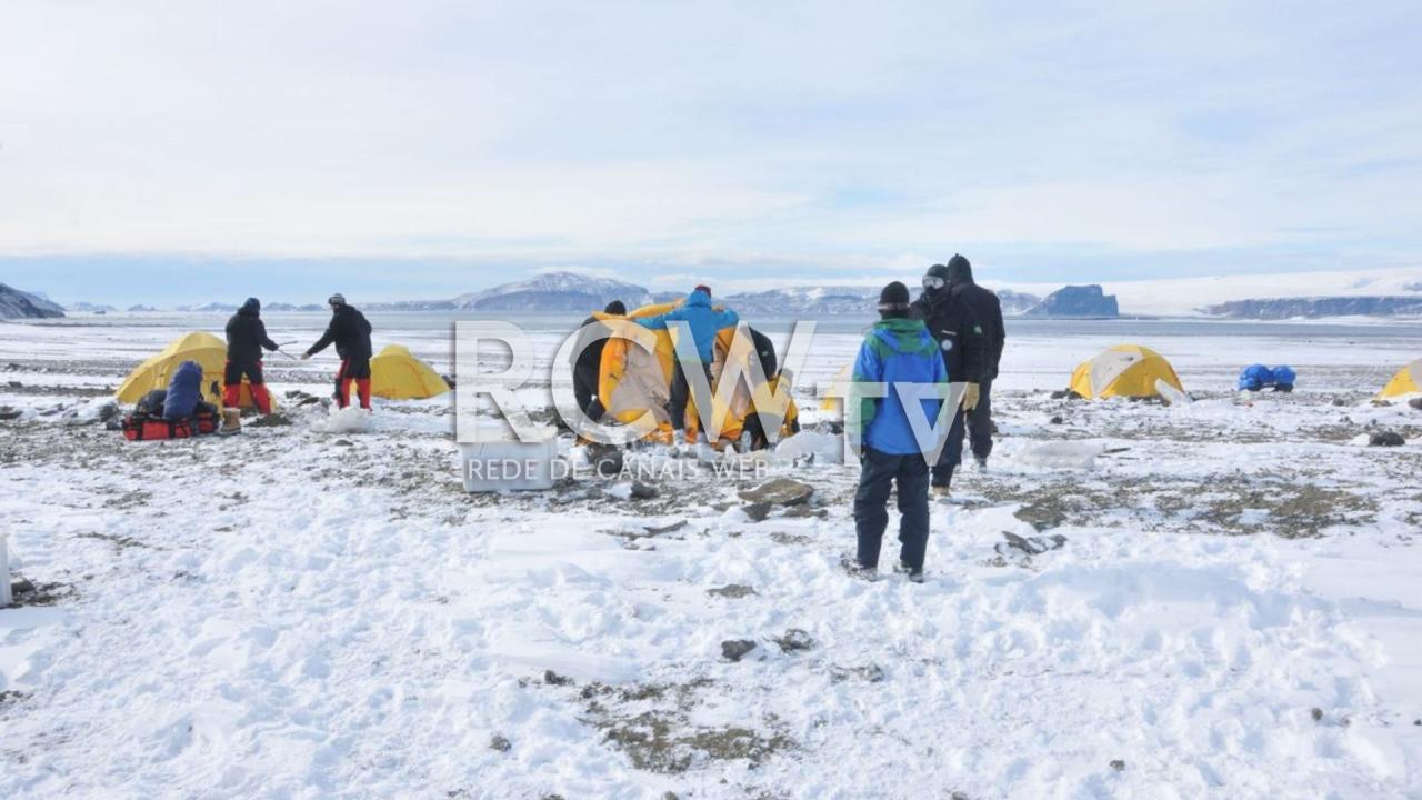 Antártica: micróbios podem ajudar limpeza de plásticos