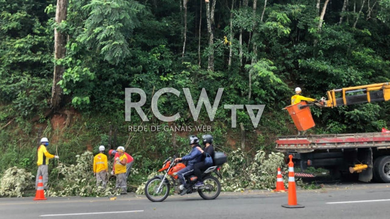Empav realiza corte e poda de árvores na Estrada Engenheiro Gentil Forn