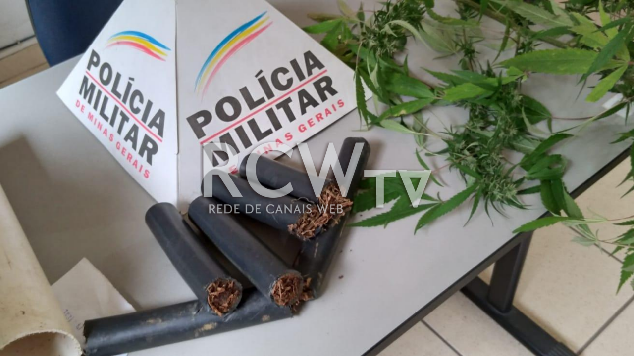 Maconha é localizada em canos plásticos em Guiricema