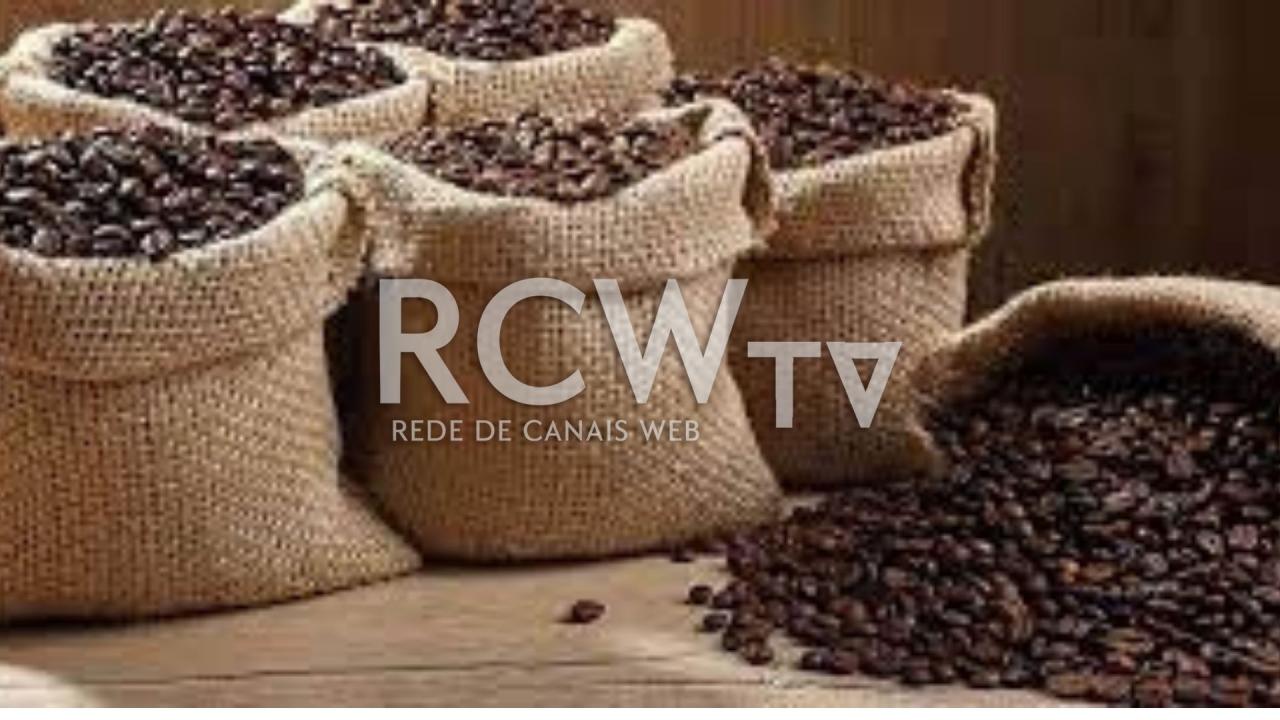 Preço do café dispara e dobra em relação a janeiro de 2021