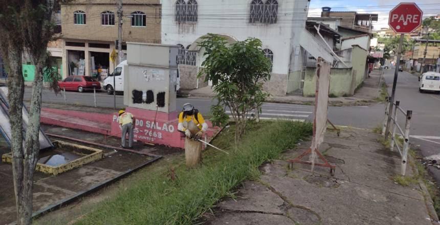 Setor de Parques e Jardins atende demandas de zeladoria em 8 bairros da cidade