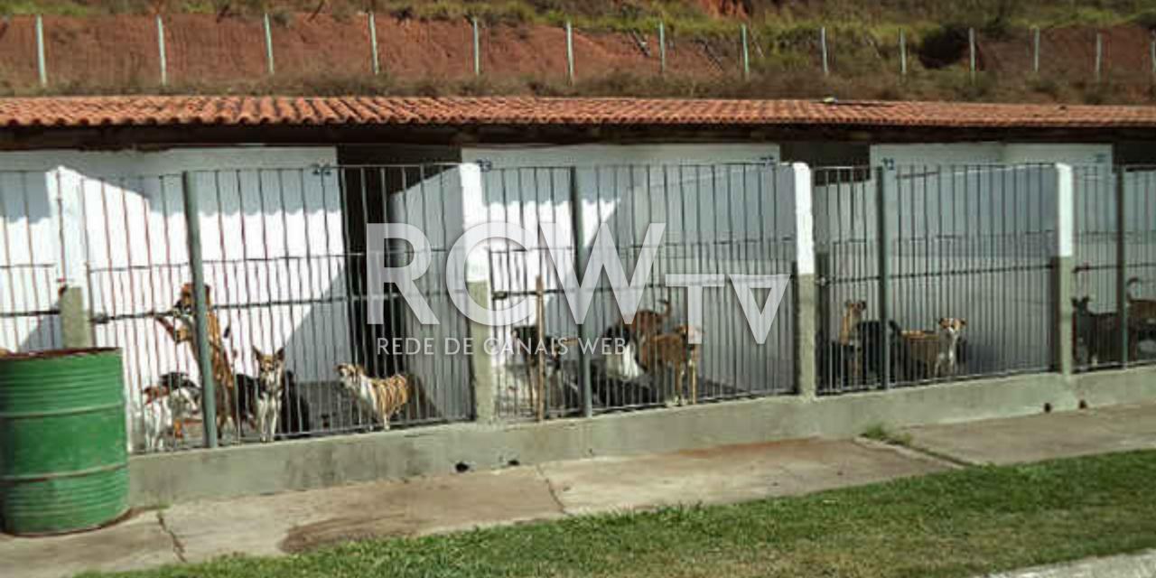 Vereadores debatem a situação do Canil Municipal após denúncia de maus-tratos