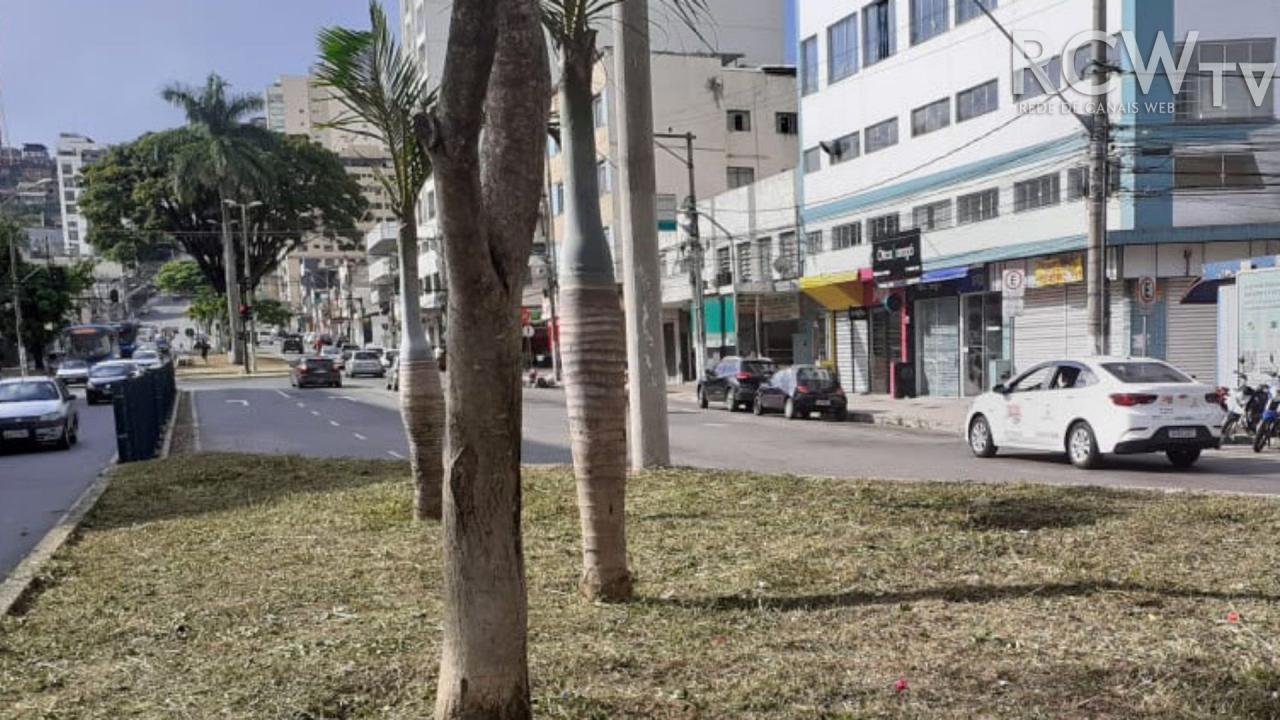 Canteiros centrais da Avenida Rio Branco são atendidos pelo Programa Boniteza