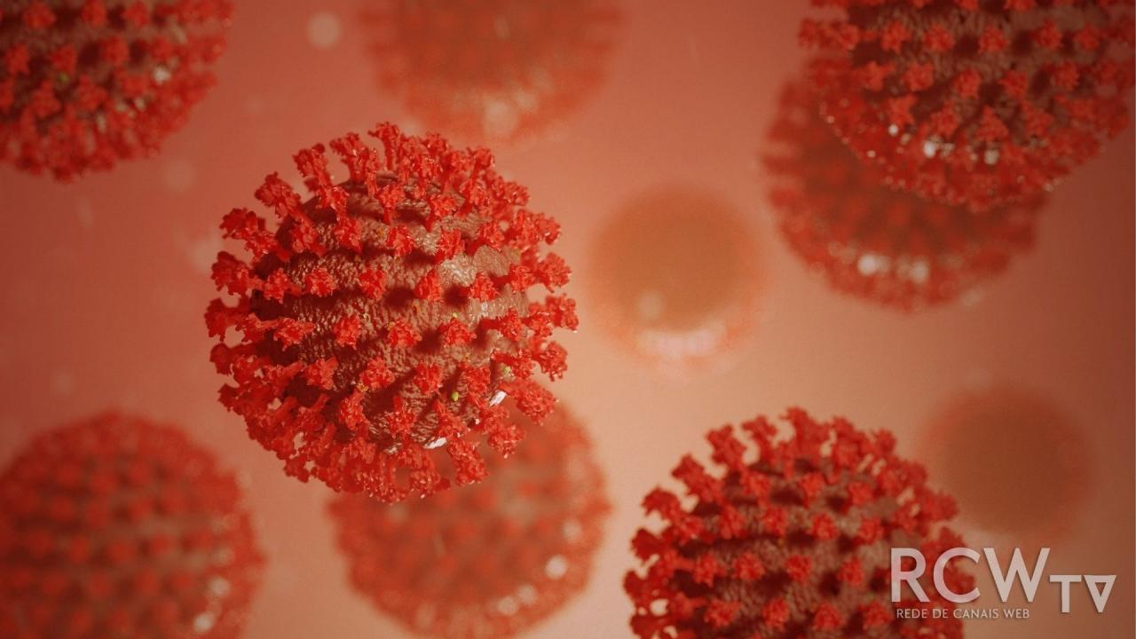 Dados Epidemiológicos de domingo, 27