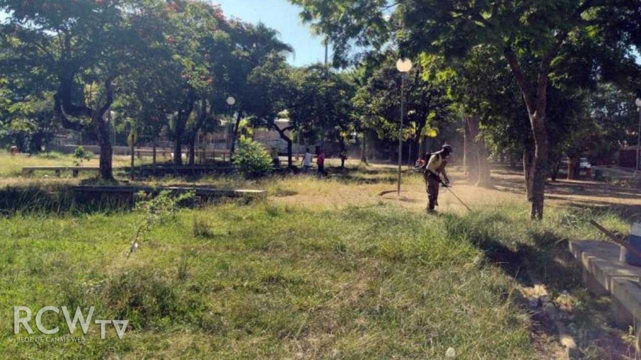 Em uma semana, Programa Boniteza atende sete praças e realiza manutenção em quase cem árvores da cidade