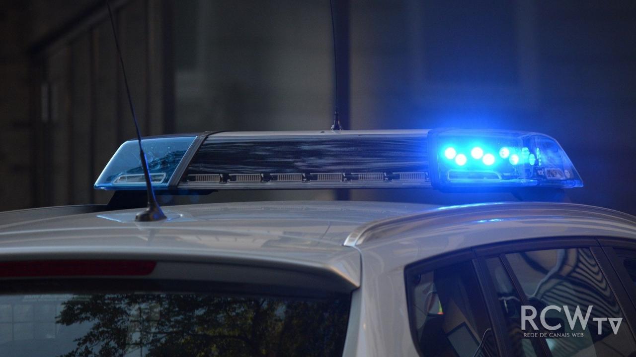 Vítima é agredida por cães da raça Pit Bull em Ubá