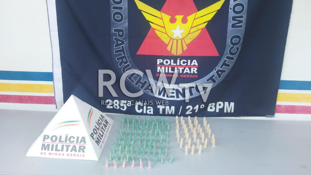 119 pinos com cocaína foram apreendidos em Ubá