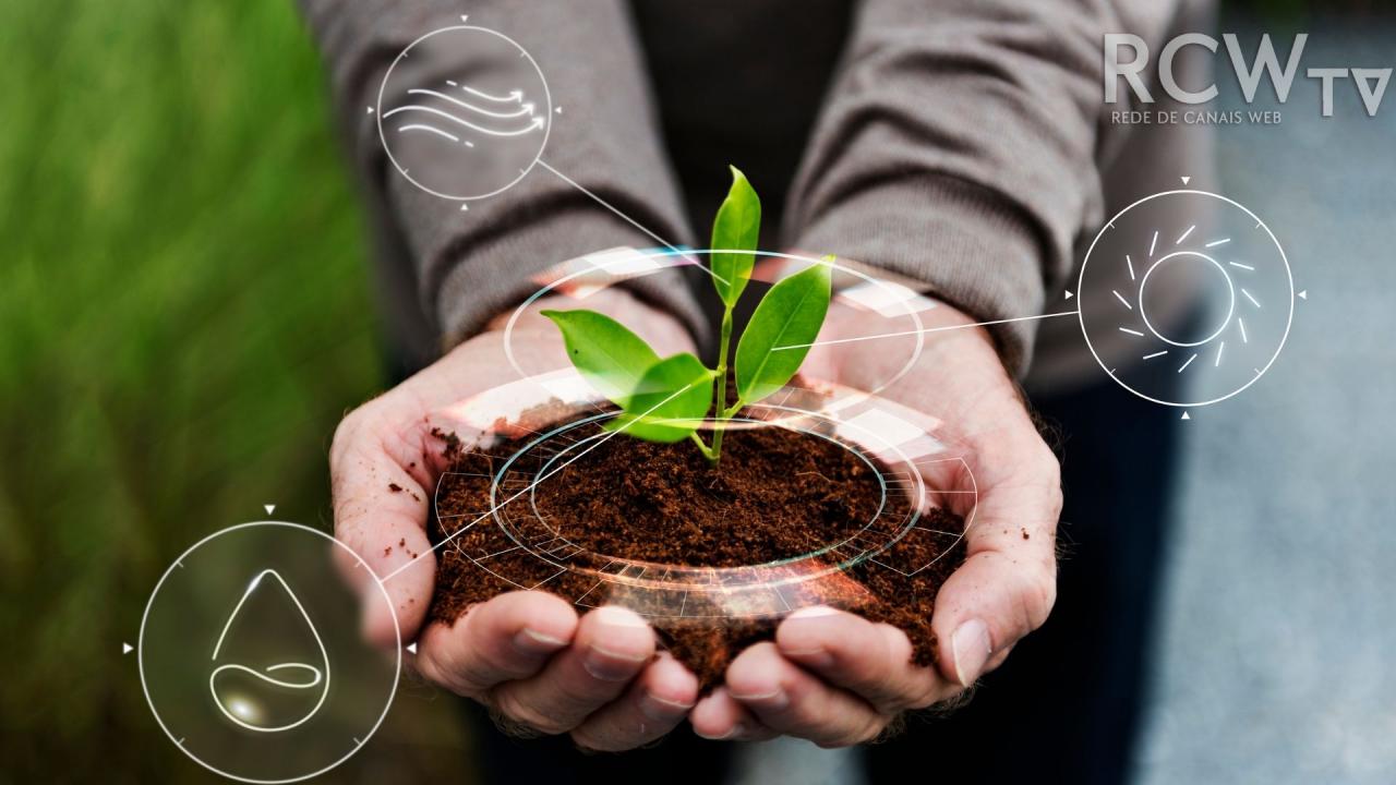 BDMG e Embrapa iniciam programa para incentivar agricultura sustentável em Minas Gerais